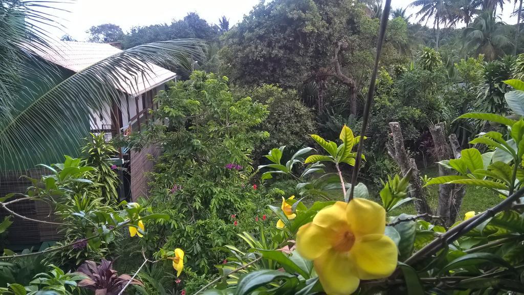 Velha Boipeba Recanto Solar Da Paz מראה חיצוני תמונה
