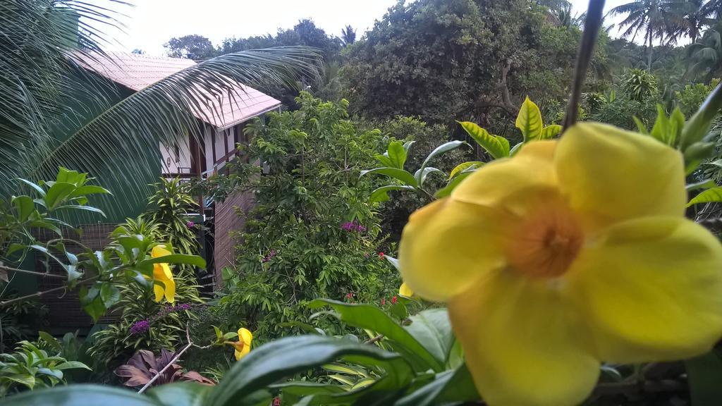 Velha Boipeba Recanto Solar Da Paz מראה חיצוני תמונה
